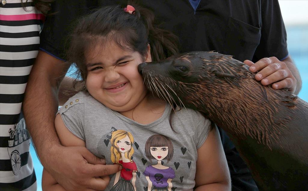 2013 Yılına İmza Atan AA Yaşam Fotoğrafları