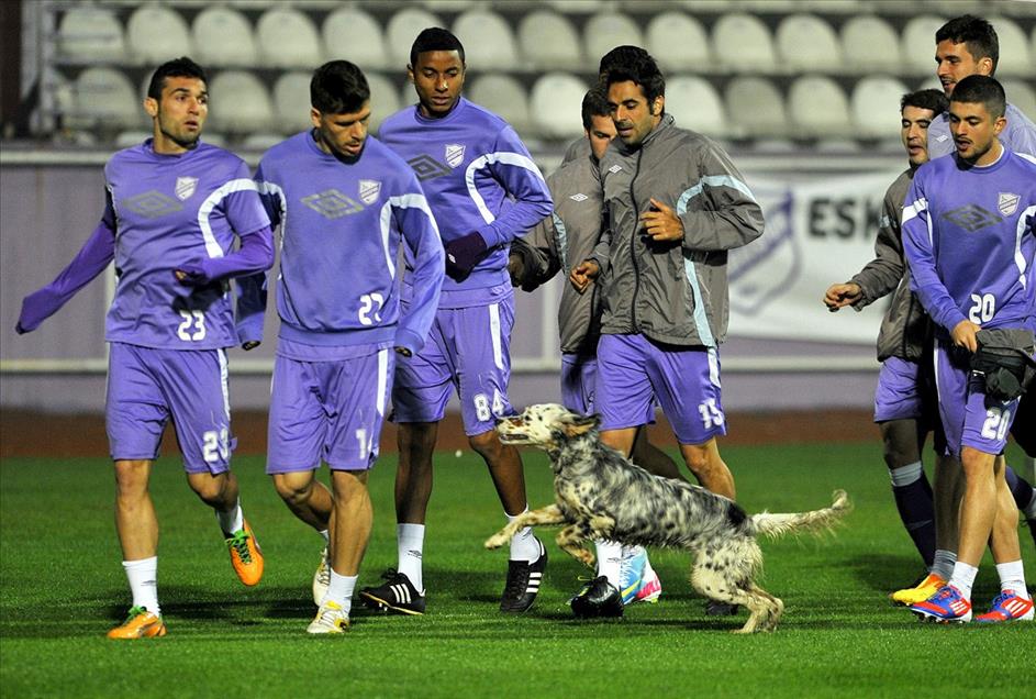 2013 Yılına İmza Atan AA Yaşam Fotoğrafları