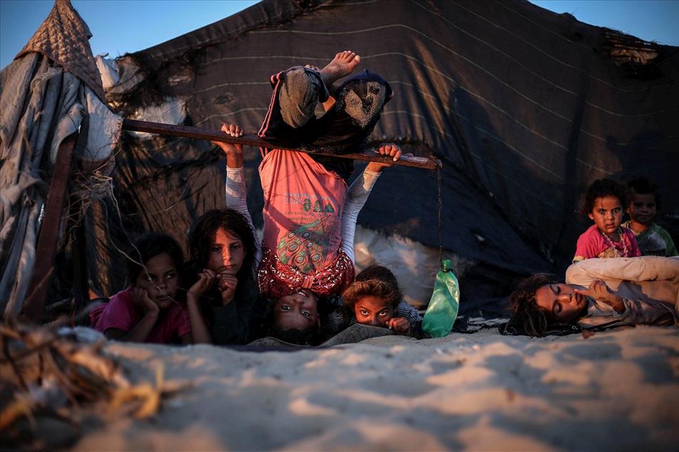 2013 Yılına İmza Atan AA Yaşam Fotoğrafları