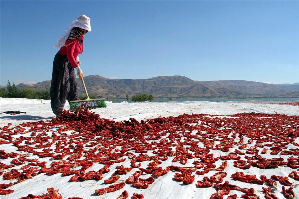 2013 Yılına İmza Atan AA Yaşam Fotoğrafları