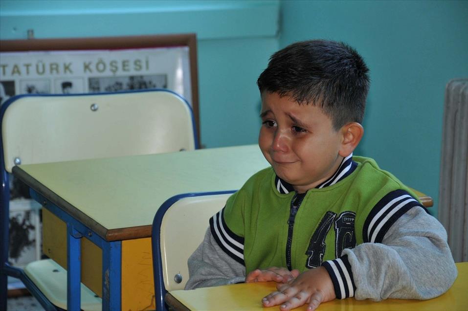 2013 Yılına İmza Atan AA Yaşam Fotoğrafları