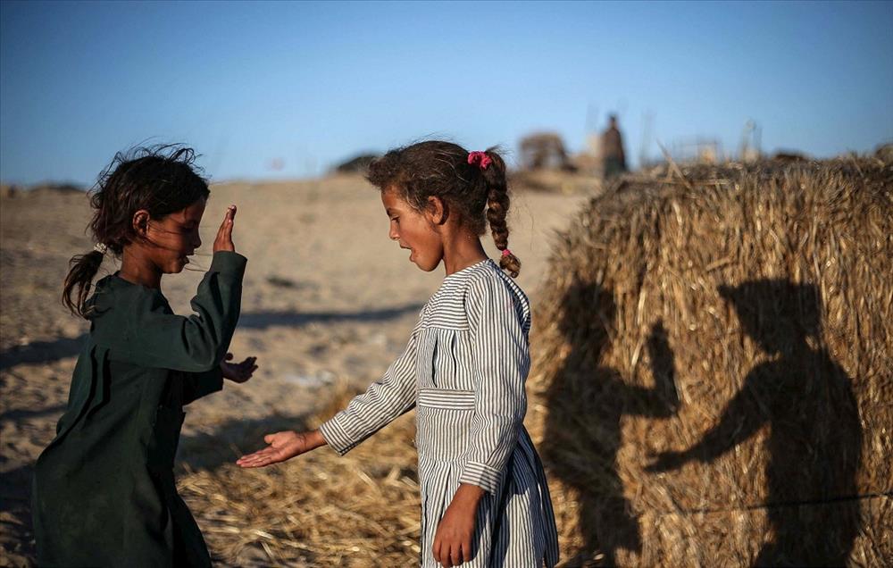 2013 Yılına İmza Atan AA Yaşam Fotoğrafları
