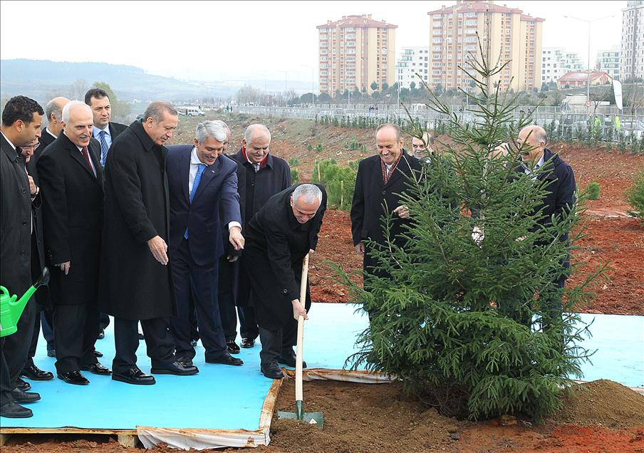 Başbakan Recep Tayyip Erdoğan