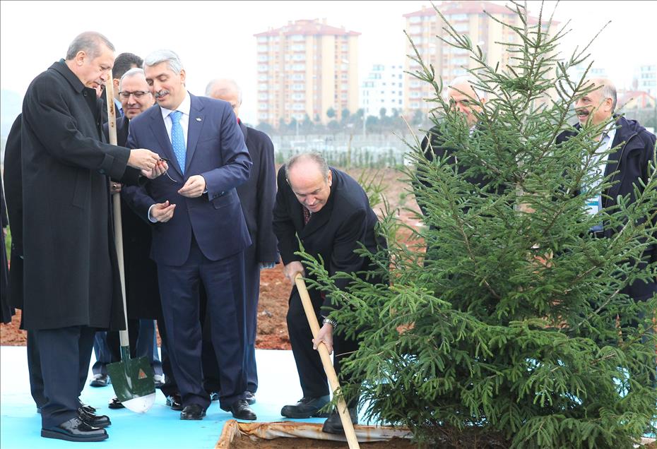 Başbakan Recep Tayyip Erdoğan