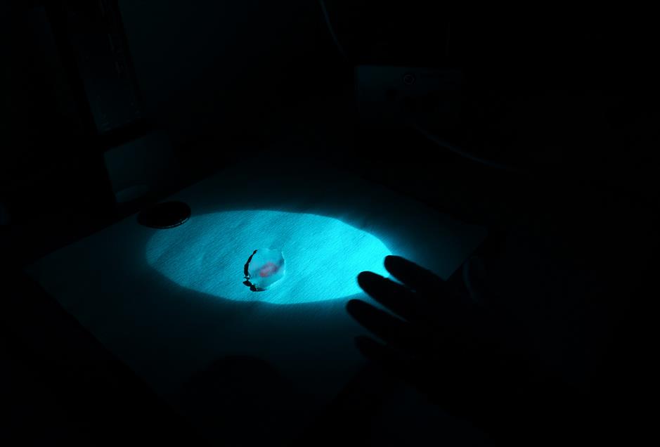 17,5 milyon kişi, parmaklarından tanınıyor