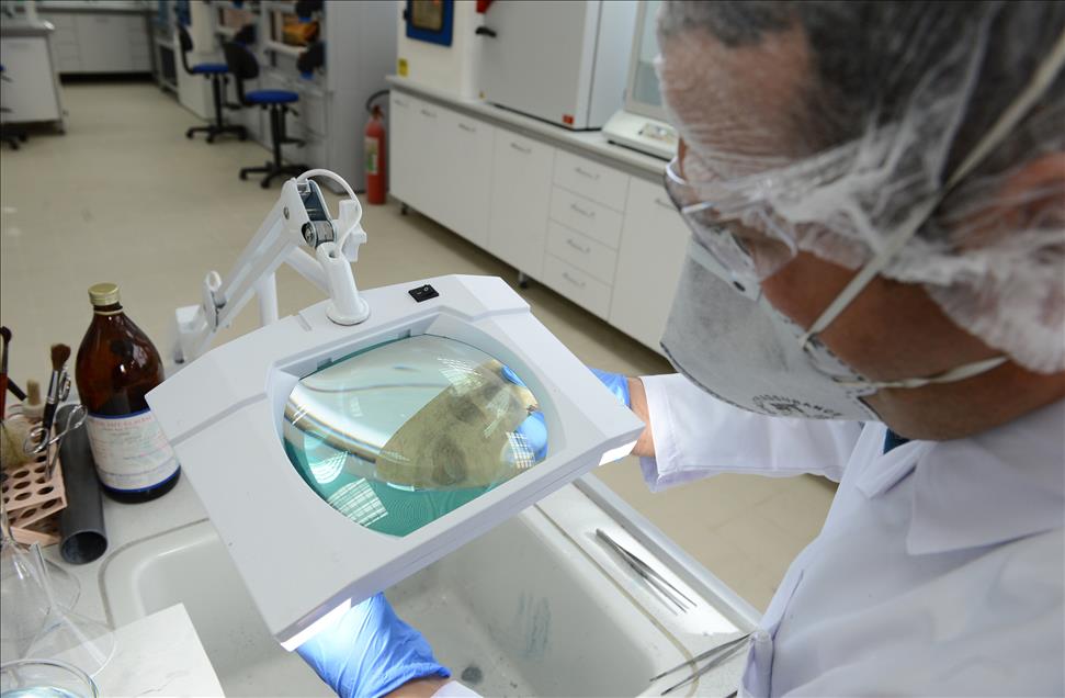 17,5 milyon kişi, parmaklarından tanınıyor