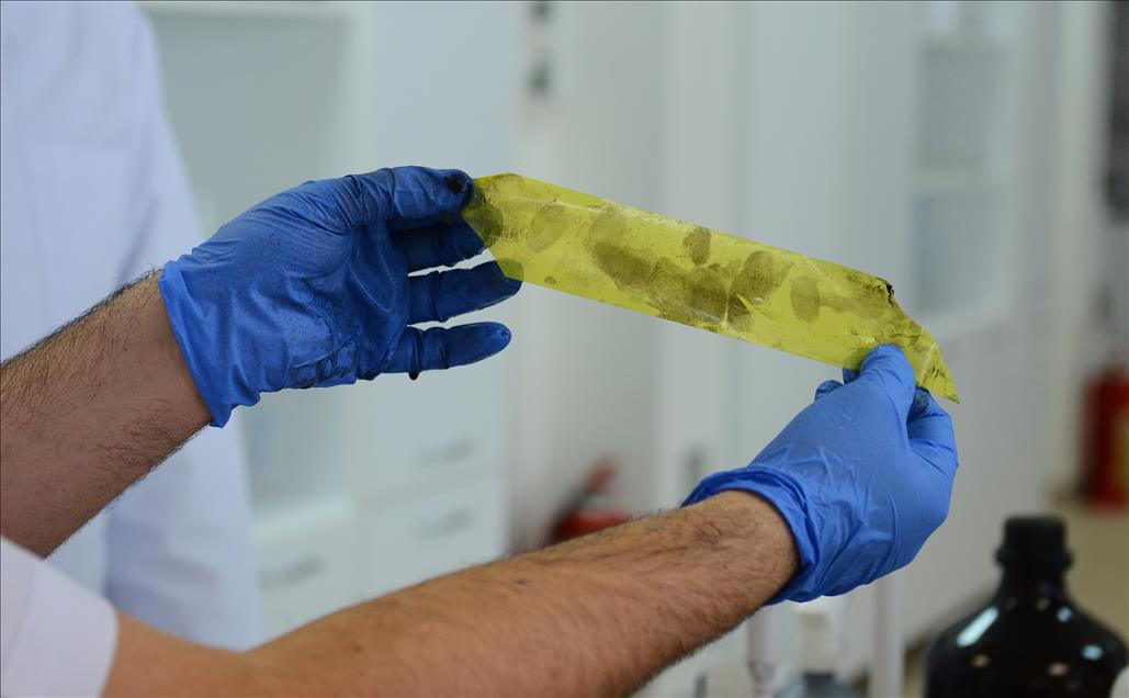 17,5 milyon kişi, parmaklarından tanınıyor