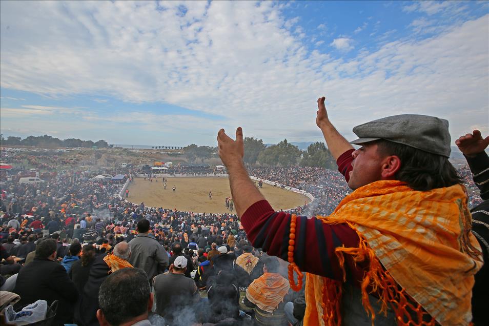 32. Selçuk-Efes Deve Güreşi Festivali