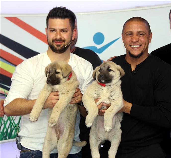 Carlos'a, canlı yayında "Kangal" sürprizi