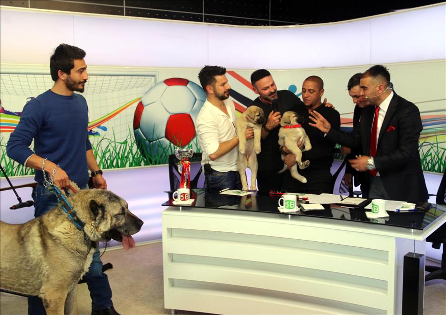 Carlos'a, canlı yayında "Kangal" sürprizi