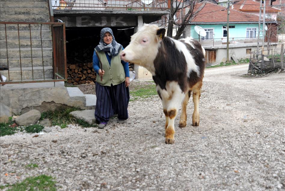 Köyün yükünü kadınlar sırtlıyor