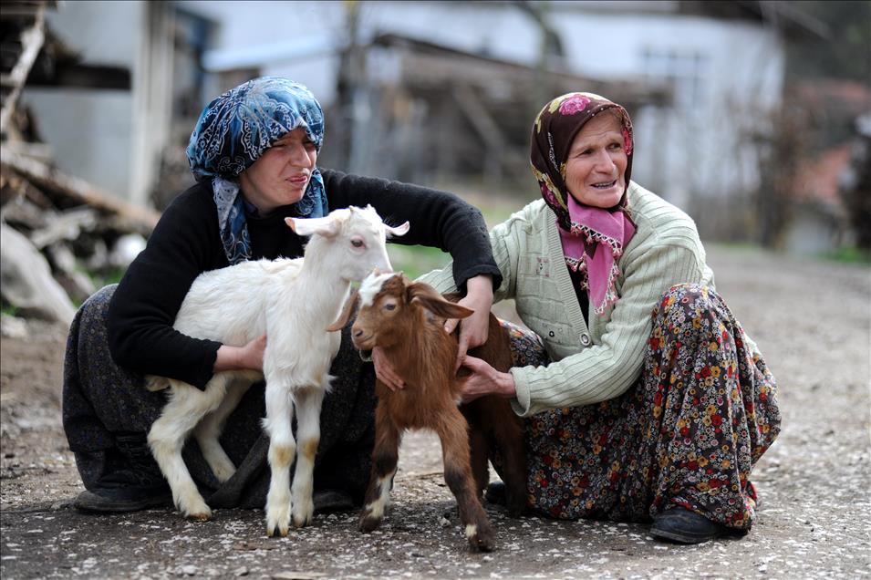 Köyün yükünü kadınlar sırtlıyor