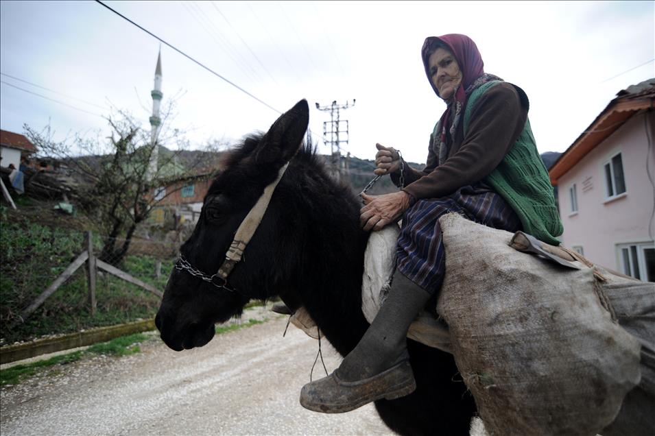 Köyün yükünü kadınlar sırtlıyor