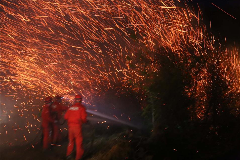 Rize'deki Yangın