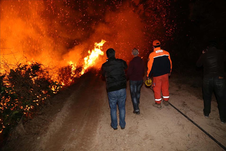 Rize'deki Yangın