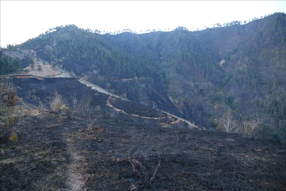 Rize'deki Yangın