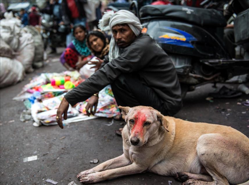 Yeni Delhi'de günlük yaşam