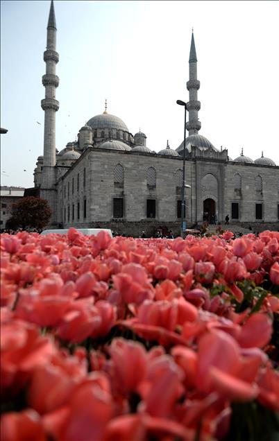 İstanbul'da lale zamanı