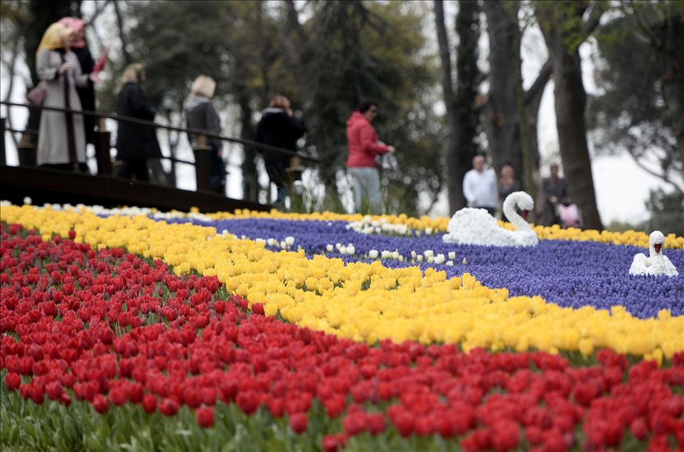 İstanbul'da lale zamanı