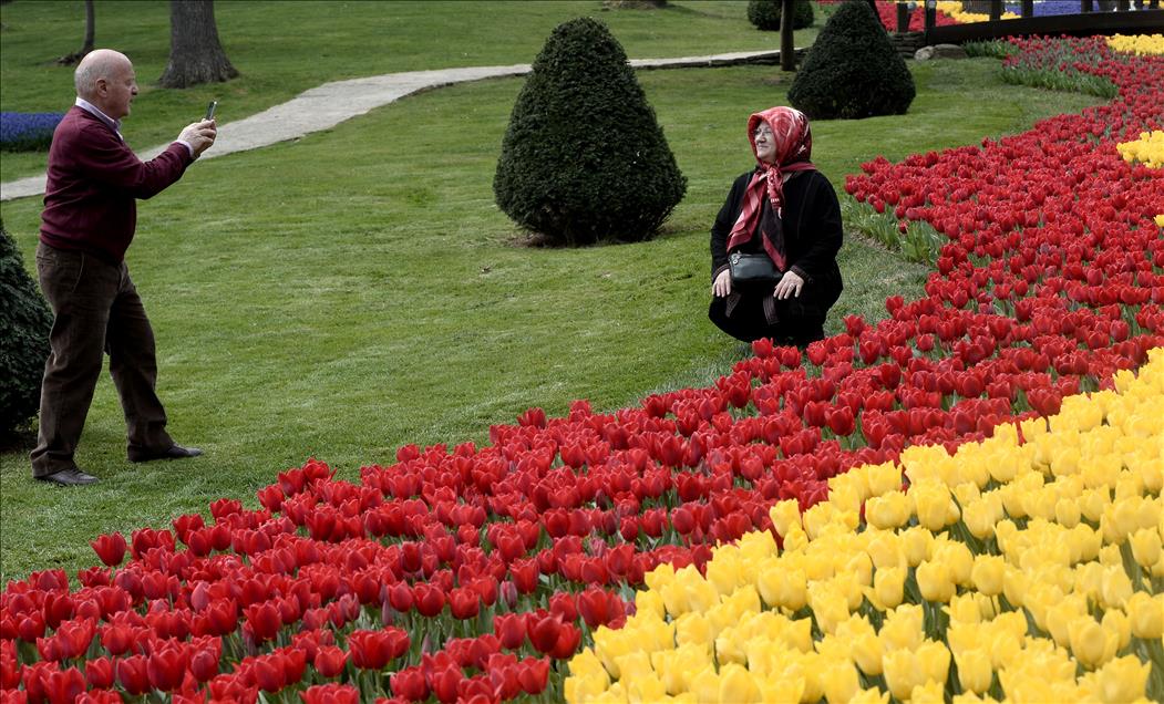 İstanbul'da lale zamanı
