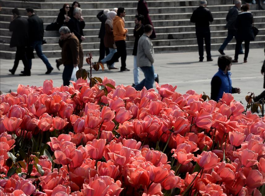 İstanbul'da lale zamanı