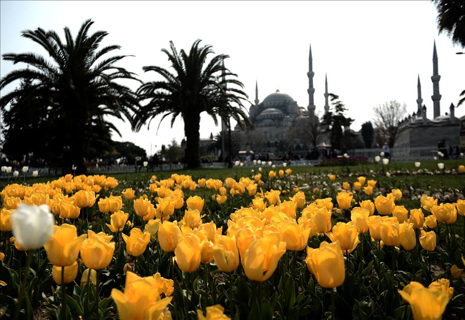 İstanbul'da lale zamanı