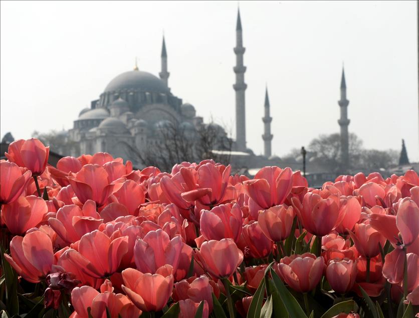 İstanbul'da lale zamanı