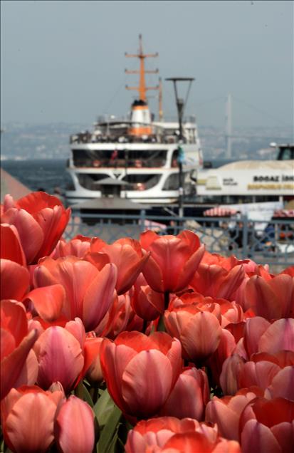 İstanbul'da lale zamanı