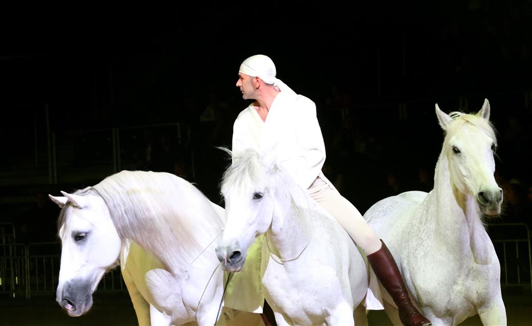 Istanbul - Lord of the Horses Show