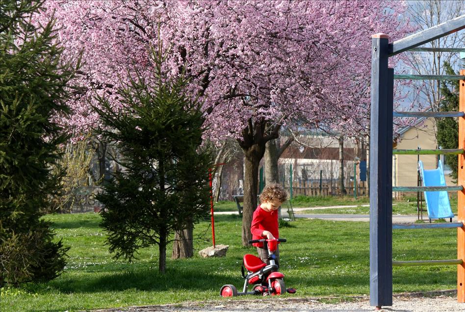 Bosna Hersek'te ilkbahar güzelliği