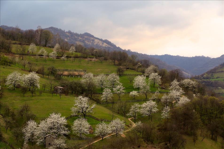 Bosna Hersek'te ilkbahar güzelliği
