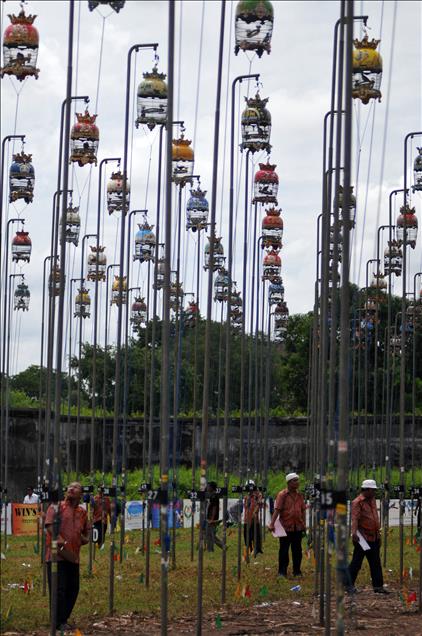 Zebra Dove Contest in Indonesia