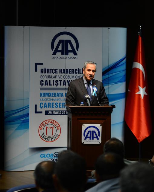 Başbakan Yardımcısı Arınç