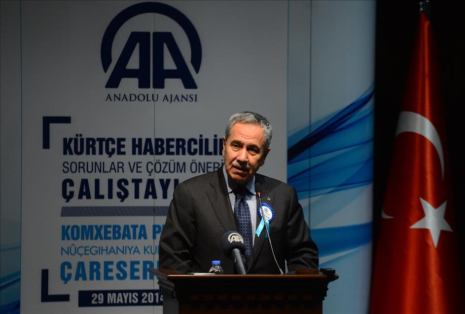 Başbakan Yardımcısı Arınç