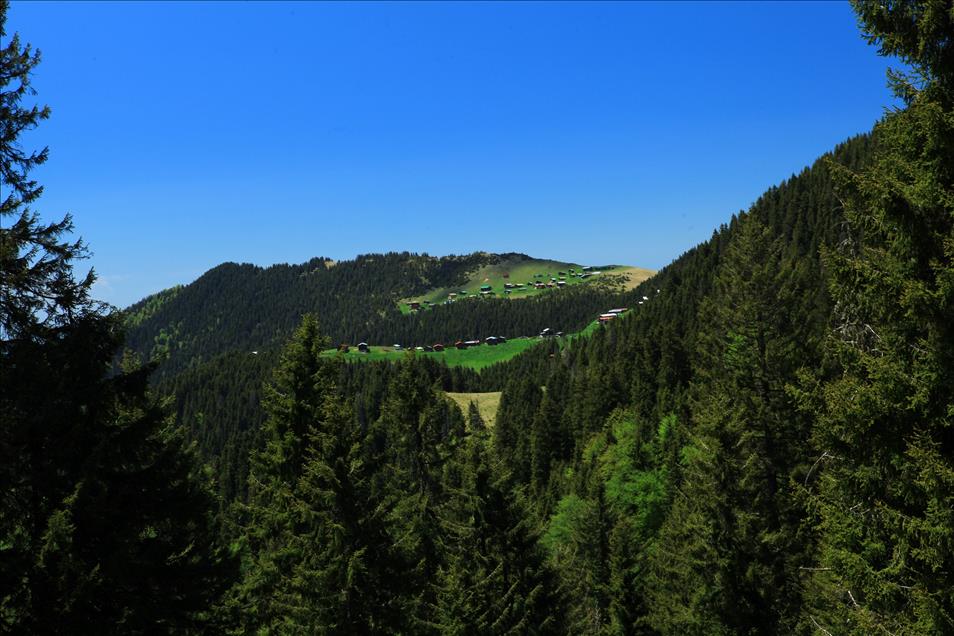 Doğa, tarih ve kültür turizminde gözde mekan Rize