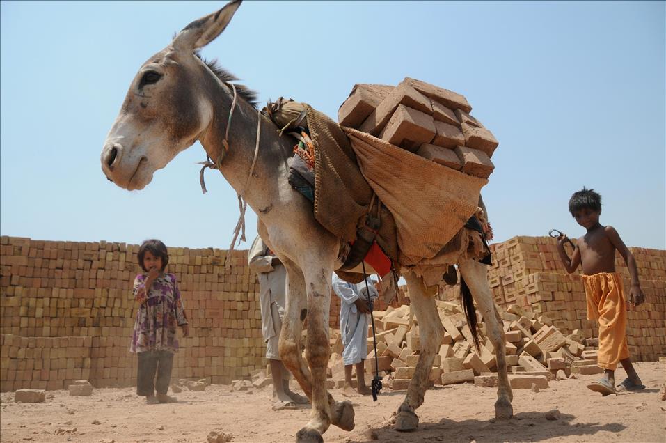 Pakistan'daki çocuk işçiler