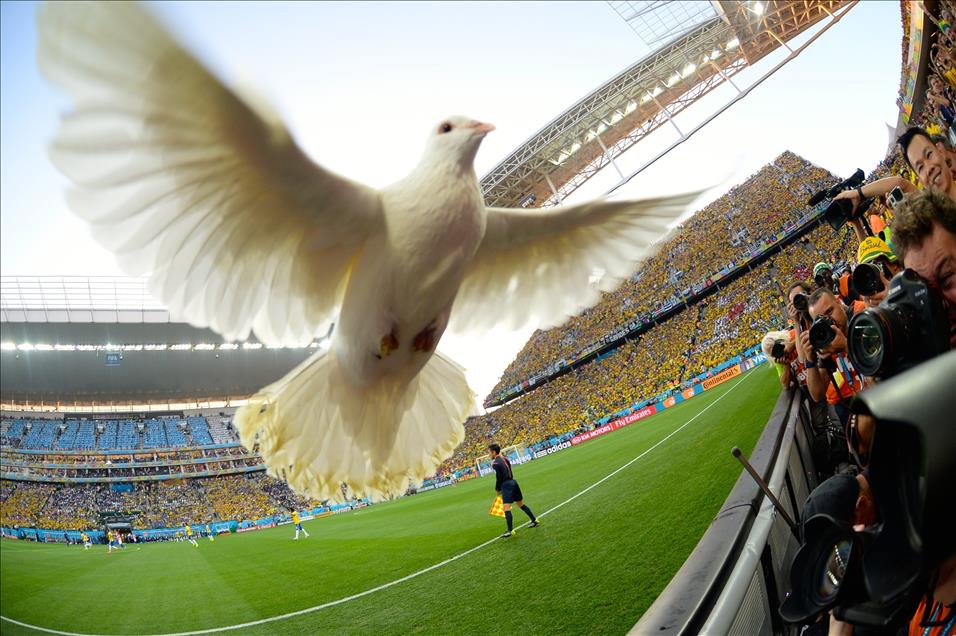 Brezilya-Hırvatistan