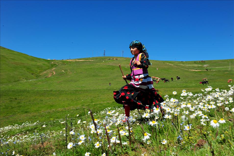 Doğu Karadeniz'de yayla göçleri başladı
