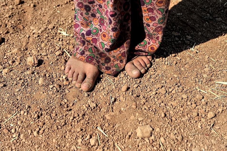 Irak'taki çatışmalar