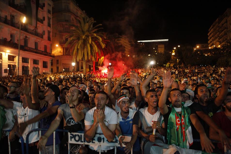 2014 FIFA Dünya Kupası