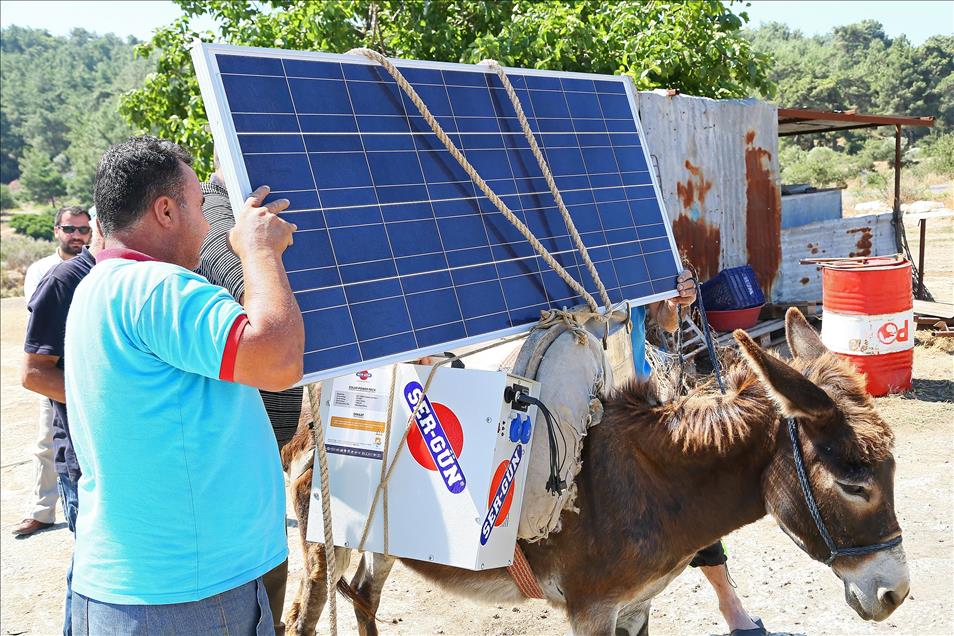 Eşek sırtında güneş enerjisinden elektrik üretimi