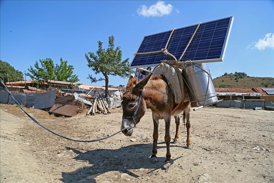 Eşek sırtında güneş enerjisinden elektrik üretimi