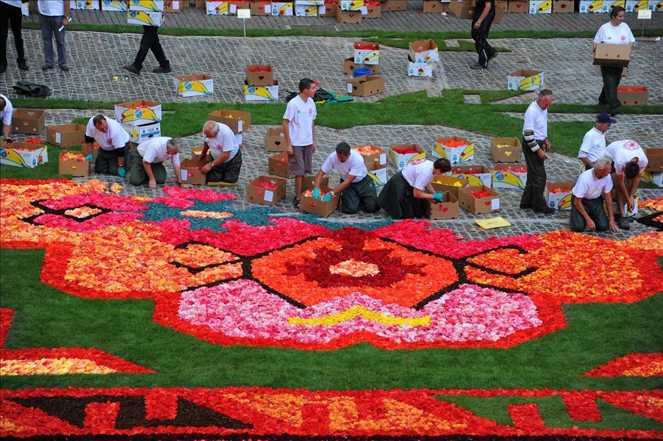 Brüksel'in tarihi meydanı Grand Place çiçeklerle Türk halısına bezendi 