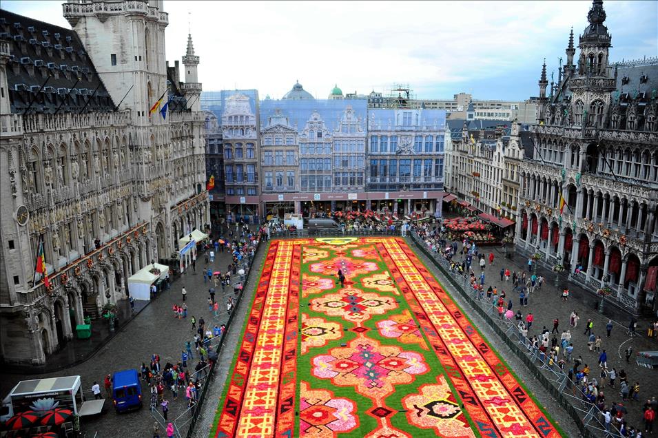 Brüksel'in tarihi meydanı Grand Place çiçeklerle Türk halısına bezendi