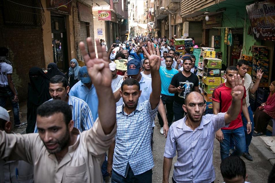 14 Ağustos Dünya Rabia günü