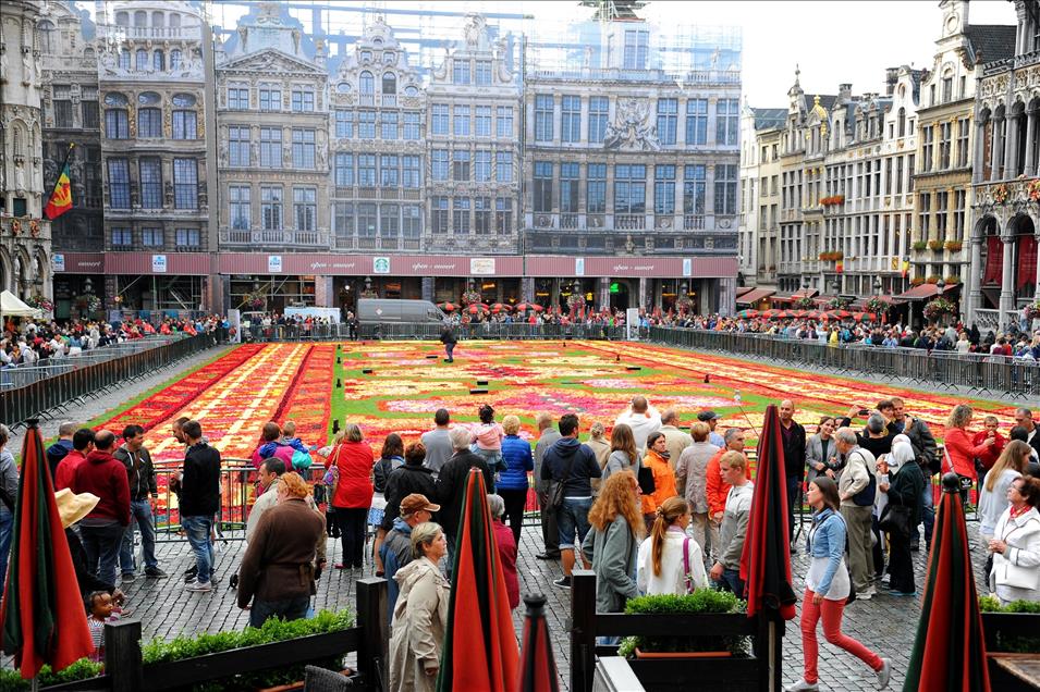 Brüksel'in tarihi meydanı Grand Place çiçeklerle Türk halısına bezendi 