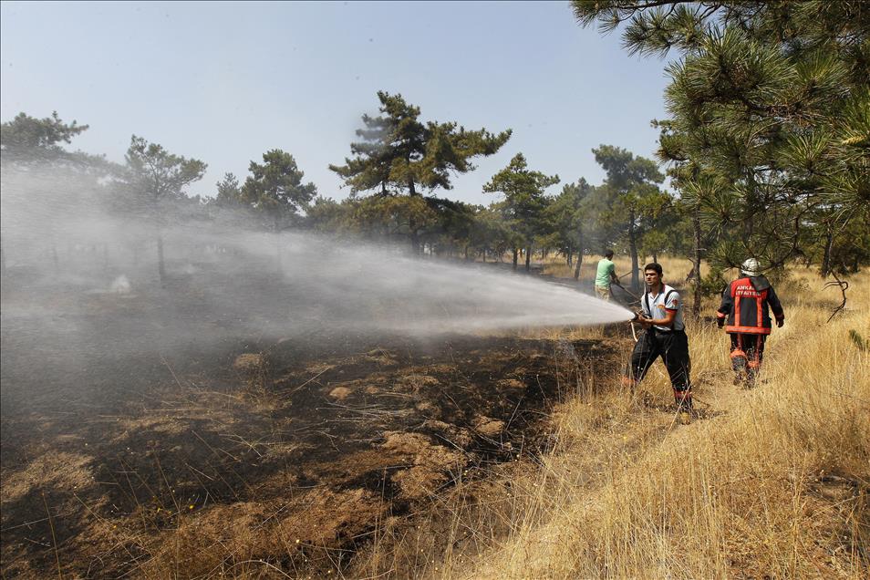 Ankara'da orman yangını