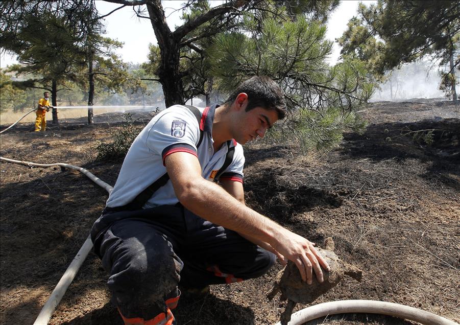 Ankara'da orman yangını