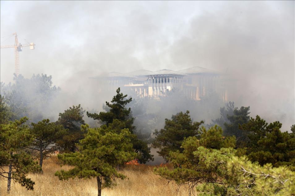 Ankara'da orman yangını