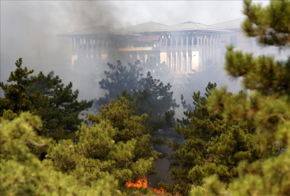 Ankara'da orman yangını